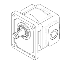 Насос шестеренный GHD1-29L-R11C11-SG05G04-NP.V1H4