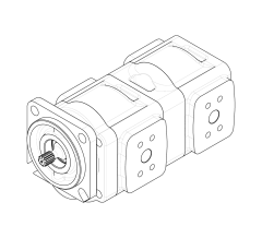 Насос шестеренный GHD1-31/31L-S05D04-SE04E02/E04E02-N038P.V1H4