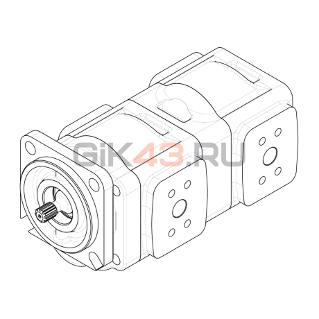 Насос шестеренный GHD1-31/31R-S05D04-SE04E02/E04E02-N038P.V1H4
