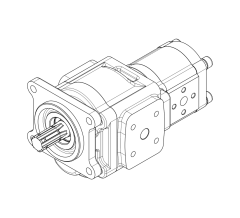 Насос шестеренный GHD1-32/T3-10L-B01D20-SS11S10/K07K07-N009P.V1H4
