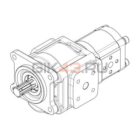Насос шестеренный GHD1-32/T3-10L-B01D20-SS11S10/K07K07-N009P.V1H4 Насос шестеренный GHD1-32/T3-10L-B01D20-SS11S10/K07K07-N009P.V1H4