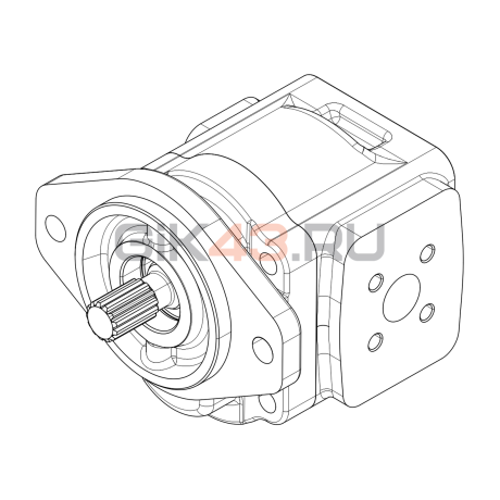 Насос шестеренный GHD1-45R-S03D13-SH11H08-NP.V1H4 Насос шестеренный GHD1-45R-S03D13-SH11H08-NP.V1H4