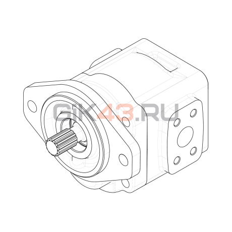 Насос шестеренный GHD1-45L-S03D13-SE04E03-NP.V1H4 Насос шестеренный GHD1-45L-S03D13-SE04E03-NP.V1H4