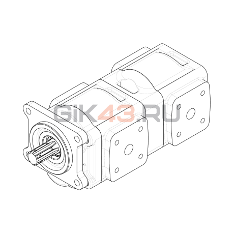 Насос шестеренный GHD1-50/50L-B01D20-SS09S08/S09S08-V009P.V1H4