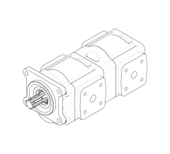 Насос шестеренный GHD1-50/50L-B01D20-SS09S08/S09S08-NP.V1H4