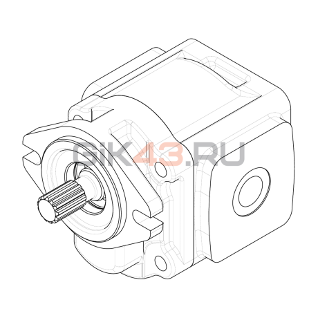 Насос шестеренный GHD1-51L-S02D13-SE03G04-NP.V1H4