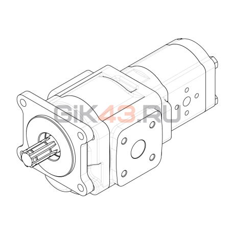 Насос шестеренный GHD1-51/T3-19L-B01D20-SS09S08/K07K07-N009P.V1H4
