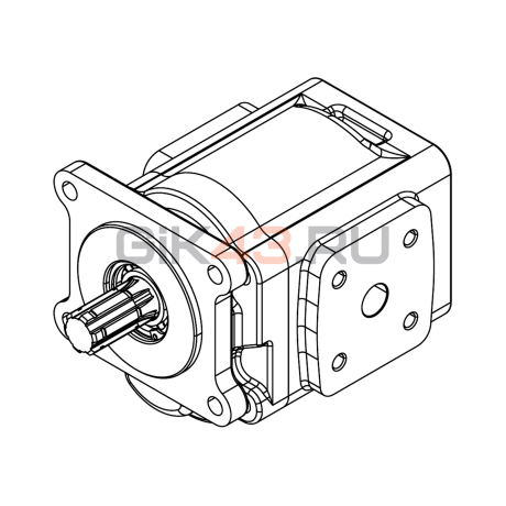 Насос шестеренный GHD1-82L-B01D20-SS09S08-NP.V1H4 Насос шестеренный GHD1-82L-B01D20-SS09S08-NP.V1H4