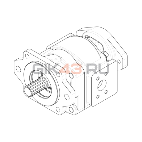 Насос шестеренный GHD2-70L-S06D14-SE06E03-NS03D13P.V1H4