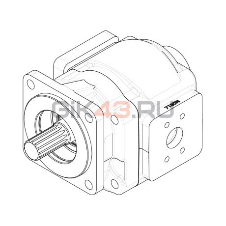 Насос шестеренный GHD3-180L-S04D14-SE08E05-NP.V1H4
