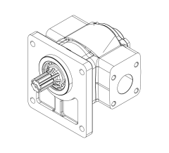 Насос шестеренный GHD4-250L-R0D0-SS02S01-NP.V1H4 Насос шестеренный GHD4-250L-R0D0-SS02S01-NP.V1H4