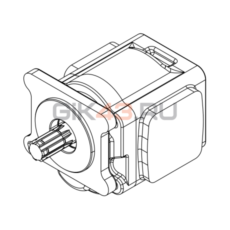 Насос шестеренный QHD1-63R-B01D20-SS09S08-NP.V1H4