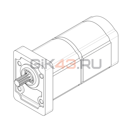 Насос шестеренный T3-20/20R-R05D04-SM09M05/M09M05-NP.V1H4 Насос шестеренный T3-20/20R-R05D04-SM09M05/M09M05-NP.V1H4