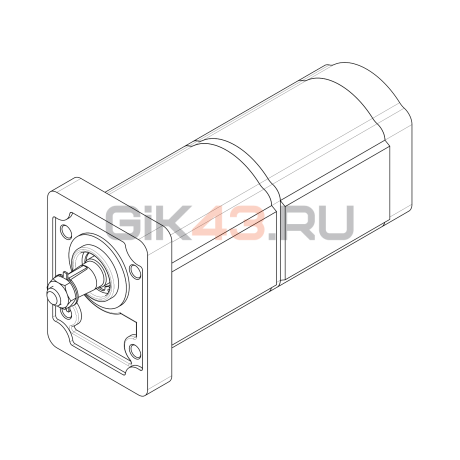 Насос шестеренный T3-30/30L-R05C08-SK03K03/K03K03-NP.V1H4