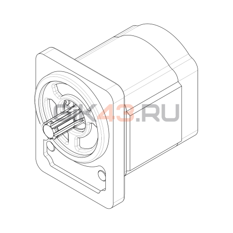 Насос шестеренный T3-6R-R06D11-SJ01J01-NP.V1H4