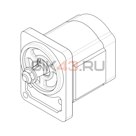 Гидромотор шестеренный TM3-10B-R06C10-SH05H05-VP.V1H4
