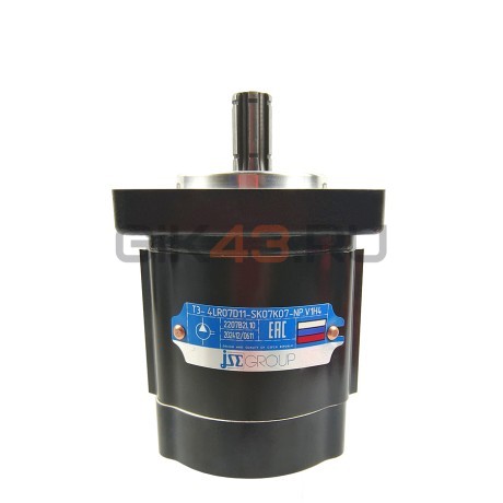 Насос шестеренный T3-4R-R07D11-SK07K07-NP.V1H4