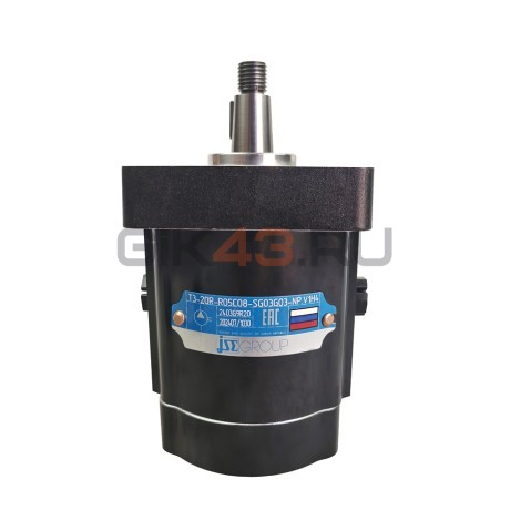 Насос шестеренный T3-20L-R05C08-SG03G03-NP.V1H4
