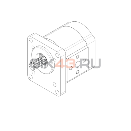 Гидромотор шестеренный TM3-6B-R05C09-SG03G03-N011P.V1H4