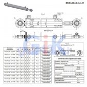 Гидроцилиндр МС 63/30х100-3.11 (385)