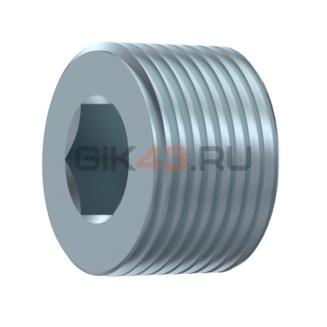 Заглушка 1/4'' NPT (N107104)