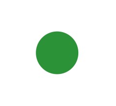 Кольцо 16,50 х 2,50 FKM75 зел.