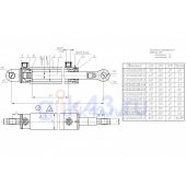 Гидроцилиндр ЦГ-50.30х100.22